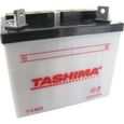 Batterie Tashima U1R32 12 Volts 32A (livree sans acide) Greenstar-0
