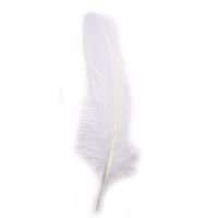 Longue plume d'oie - Blanc 16/20 cm - 8 pièces - Rayher