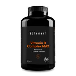 COMPLÉMENT EN MINÉRAUX Complexe Vitamines B MAX, 365 Comprimés | 8 Vitamines B + Choline & Inositol | Le plus complet, avec des doses élevées