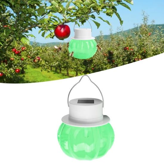 Lot De 2 Attrape-araignées, Attrape-abeilles, Attrape