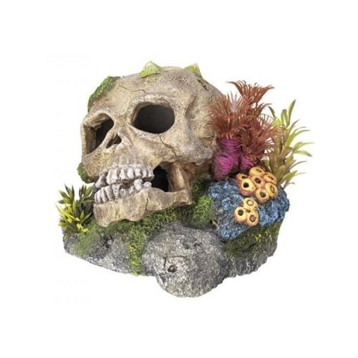 NOBBY DÉCORATION POUR AQUARIUM EN FORME DE CRANE POUR AQUARIOPHILIE 135 X 135 X 105 MM