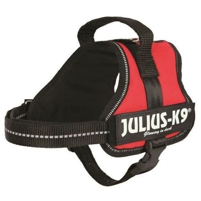 Harnais Power Julius-K9 - Mini-Mini - S : 40-53 cm-22 mm - Rouge - Pour chien