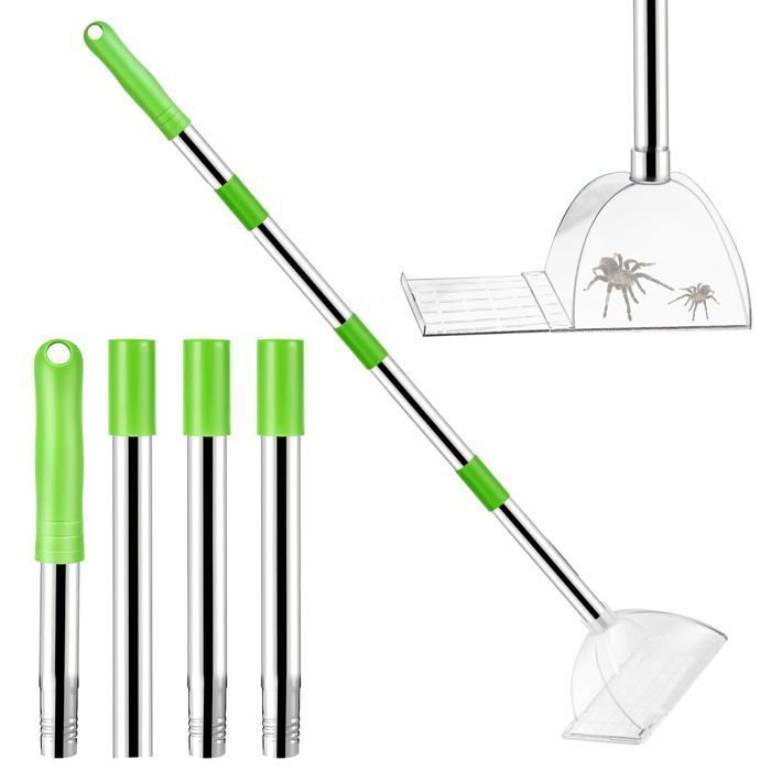 Piège à araignées et insectes extra long (80 cm) pliable avec poignée pour capturer et relâcher