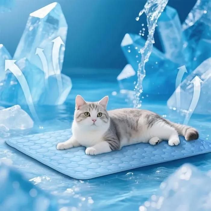 Tapis rafraîchissant pour chiens et chats auto-refroidissant non toxique lavable pour lintérieur lextérieur bleu 60 x 50 cm Tapis rafraîchissant pour chiens et chats auto-refroidissant non toxique lavable pour lintérieur lextérieur bleu 60 x 50 cm