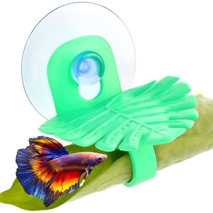 Betta Hamac Betta Fish Bed Monstera Feuilles Betta Fish Leaf Pad Hammock Lit Poisson Reste