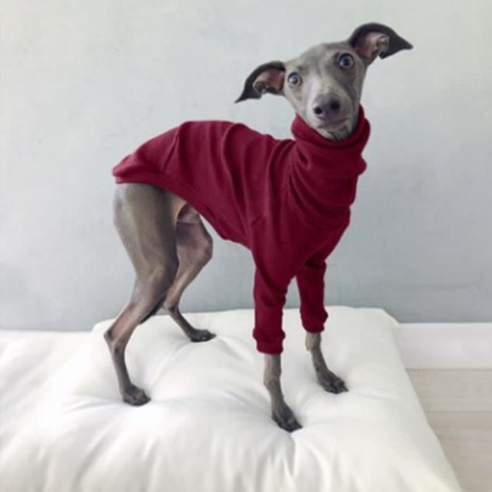 Pyjama discount pour whippet
