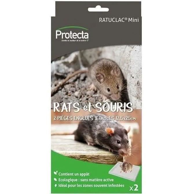 Piège englué à rongeurs jetable - lot de 2