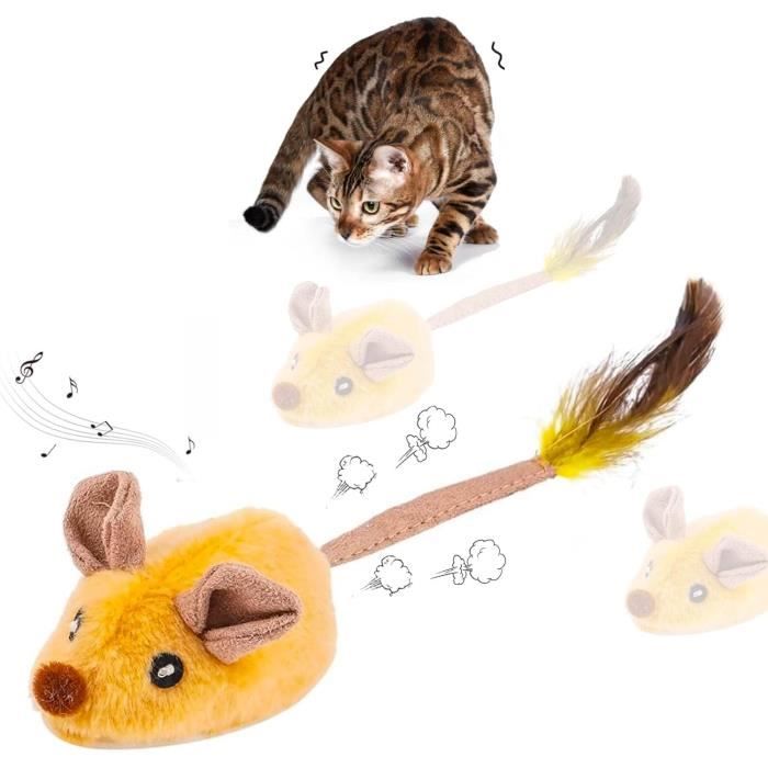 Jouet électrique pour chat - Souris de jeu pour chat - Jouet pour chat