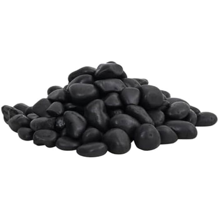 vidaXL Galets polis 25 kg