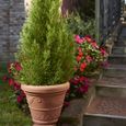 Pot de jardin Campana avec festons ICFB - Garden Italia Vasi - Diamètre 70 cm - 100% recyclable-1
