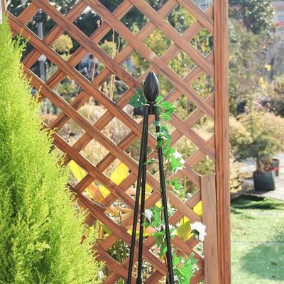 Treillis d'obélisque de jardin en métal-120 cm-En fer forgé-Pour plantes  grimpantes en pot[~157] - Cdiscount Jardin