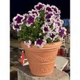 Pot de jardin Campana avec festons ICFB - Garden Italia Vasi - Diamètre 70 cm - 100% recyclable-3