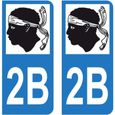 Lot 2 Autocollants Stickers plaque immatriculation voiture auto département 2B Haute-Corse Logo Corse-0