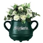Harry Potter Chaudron Serpentard - Décoration Murale Pot De Fleur - Accessoire Univers Magique