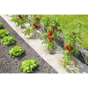 PAILLAGE - VOILE Paillage naturel pour jardin et potager 100% biodé