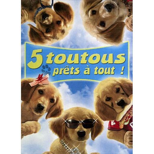 DVD Cinq toutous prêts à tout! Cdiscount DVD