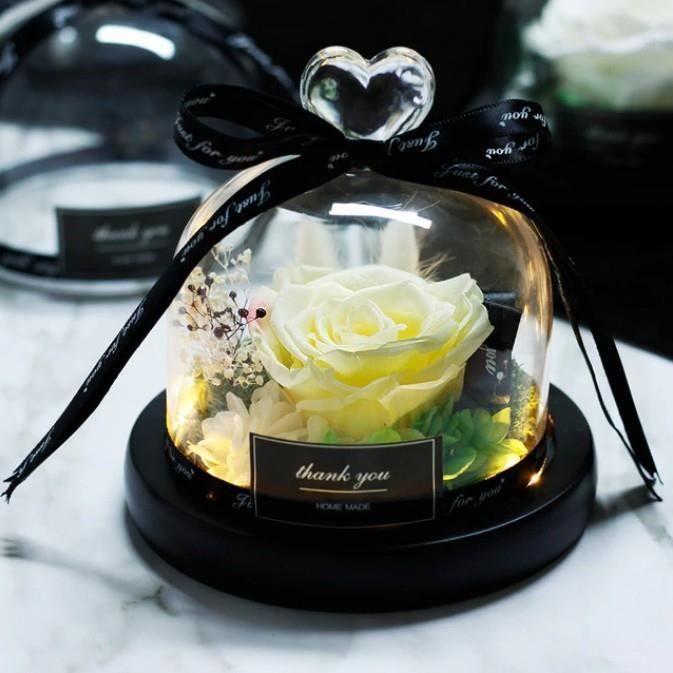 Rose Éternelle Blanche Véritable Sous Cloche en Verre avec Lumières