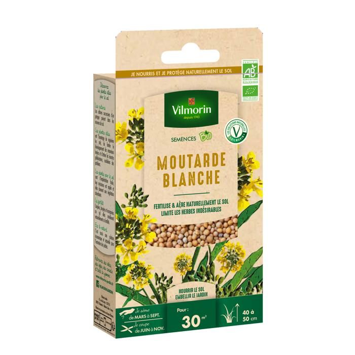 Graines de Moutarde blanche BIO , sachet de 60 grs-