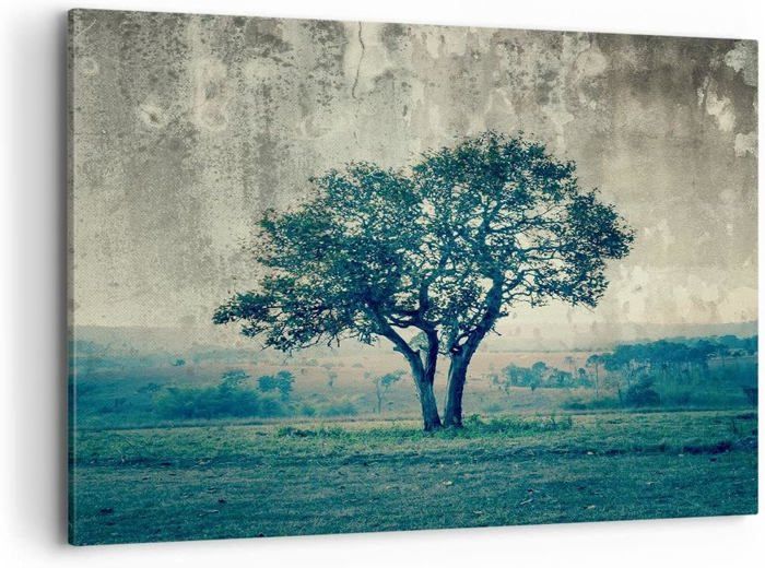 Moderne Impression sur Toile forêt arbre nature Image Moderne Impression sur Toile forêt arbre nature Image