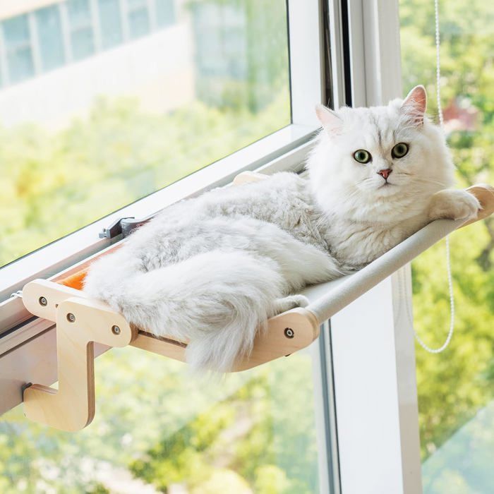 Étagère Pour Chat Sans Perçage Ni Ventouses Planche De Fenêtre Grise Stable Et Sécurisée Accessoire Confortable Pour Animaux