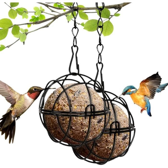 Crochets Muraux Décoratifs Homeland – Fonte Artisanale, Motif Oiseaux, Lot De 2