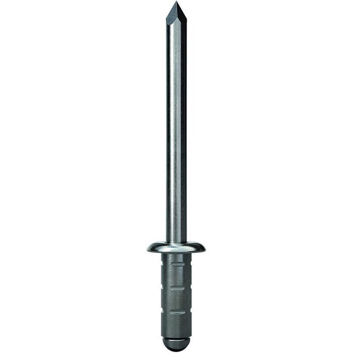 GESIPA 50 rivets aveugles en aluminium Diamètre 4,8 x 17 mm
