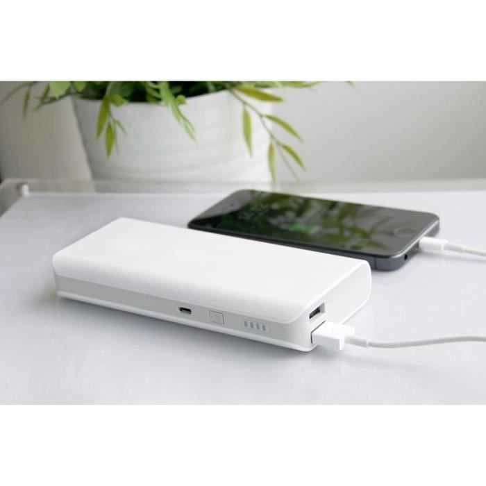 Batterie Li-Polymère pour iPhone iPad Samsung Galaxy etc Onshida Batterie Externe Power Bank 10400mAh Chargeur Portable avec Deux Sorties USB-A et Deux Entrées Micro USB et Type C 
