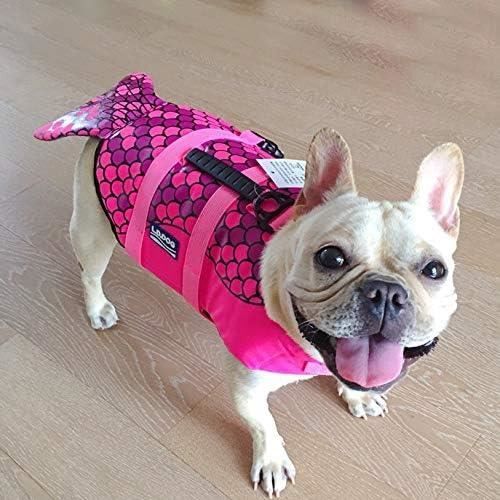 Gilet de sauvetage pour bouledogue francais sale