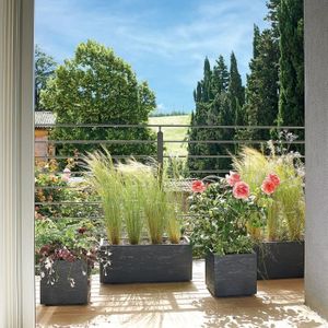 Plante En Pot Extérieur Résistant Au Gel Pot De Fleur Toutes Matieres Toutes Tailles Cdiscount Com
