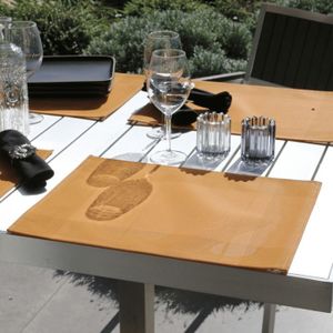 SET DE TABLE PVC BRUYO FORME FEUILLE 30x45cm