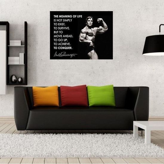 Poster Affiche Arnold Schwarzenegger's Motivation The Meaning of Life 