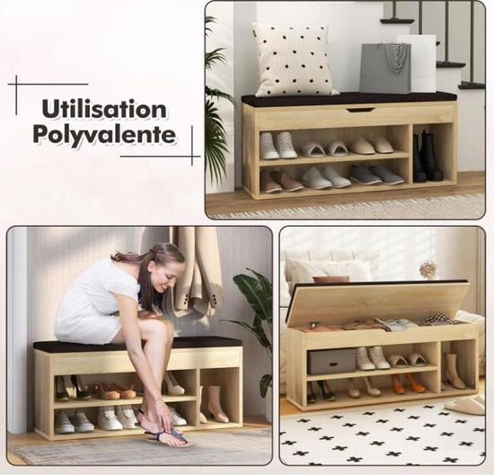 RELAX4LIFE Banc à Chaussures En Bois 10 Compartiments, Meuble De Rangement Coussin De Siège