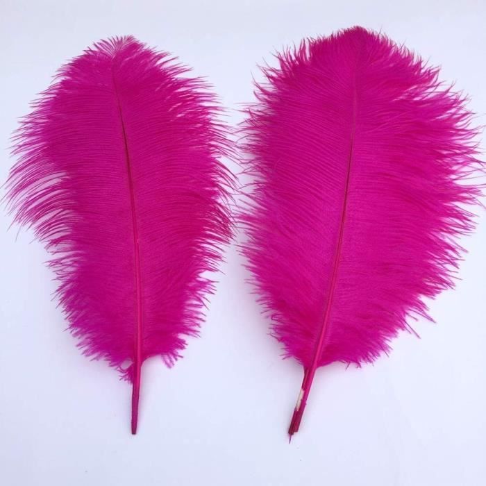 Lot De 10 Plumes Naturelles Ou Décoratives - Neuf - Pour Artisanat, Déco, Déguisements