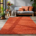 Tapis Salon Shaggy - MARION - Terra - 300 x 400 cm - 100% Polypropylène - SIMPEX