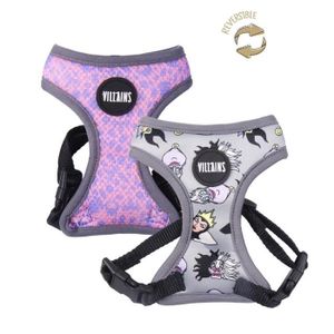 Vetement chihuahua xxs Cdiscount