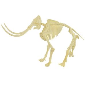 Nuolux Dinosaure Jouet pour enfants-Tyrannosaure Stegosaurus Triceratops Utahraptor SP