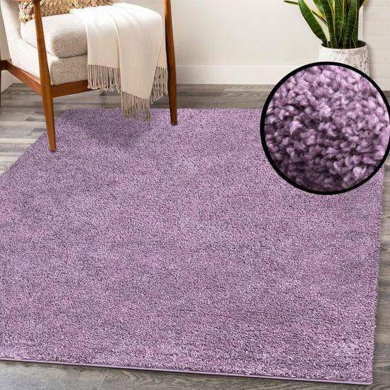 Tapis De Salon Poils Longs Gris 200x300 Cm – Lavable, Antidérapant, Ultra Moelleux Pour Chambre & Salon