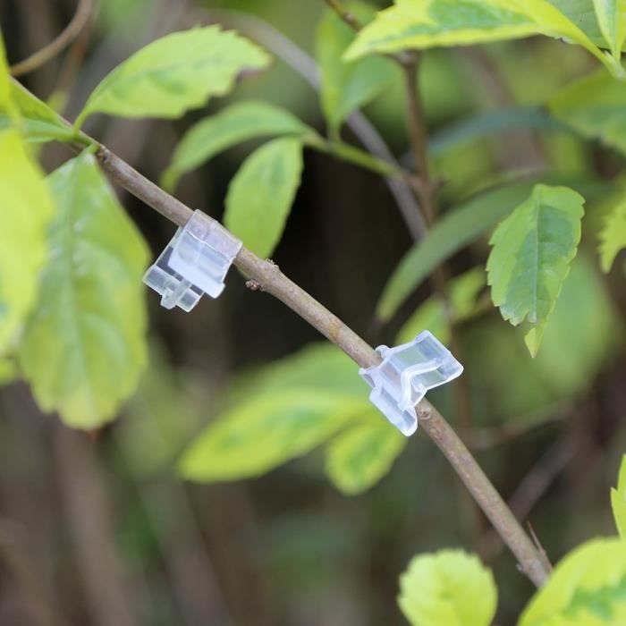 100PCS Pince à greffer pour plantation de tomate et Pince à greffer