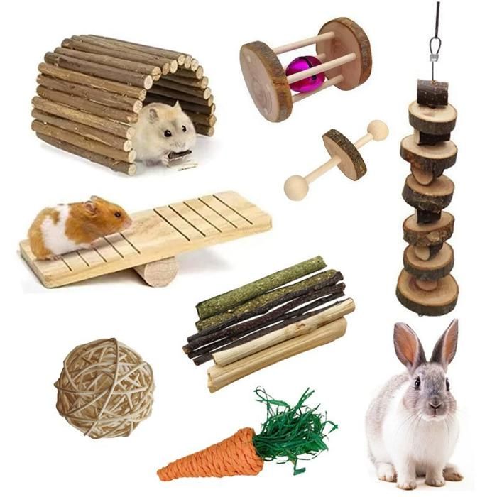 Meilleurs prix pour Hamster masticateur jouets Cochons dInde Gatto masticateur jouets 15 jouets de mastication PZCC