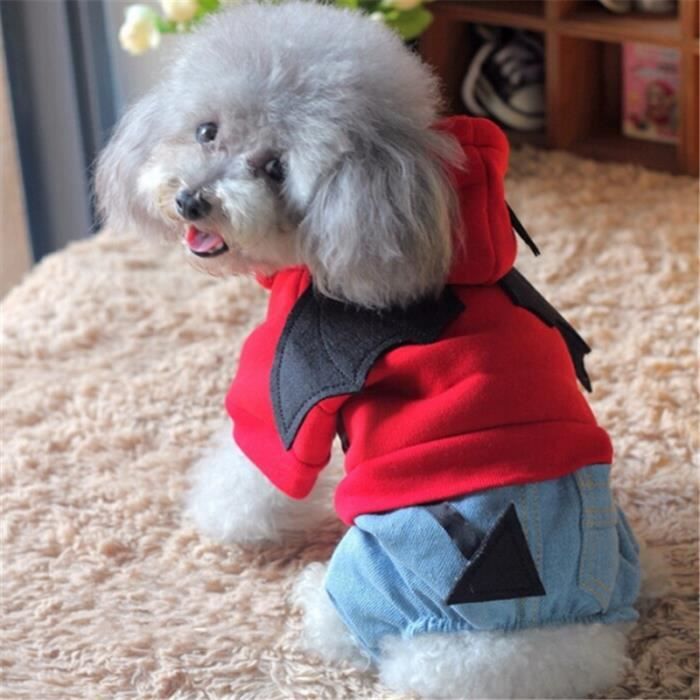 Ensemble Vêtement Chien Chihuahua Jean Chat Hiver Automne Petit Animal 1 15kg De Couleur Aléatoire