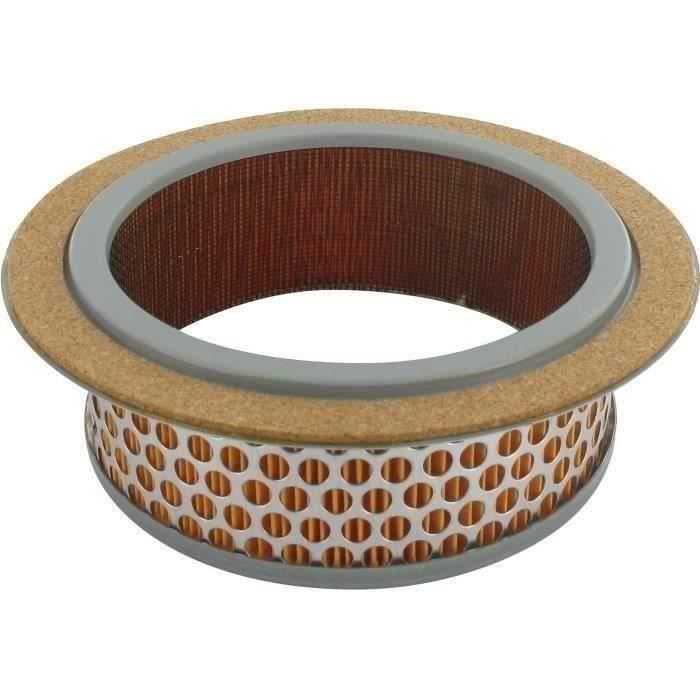 Greenstar 5487 Filtre à air pour Bernard moteur