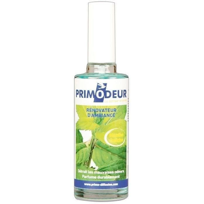 Vaporisateur d'ambiance 50ml menthe