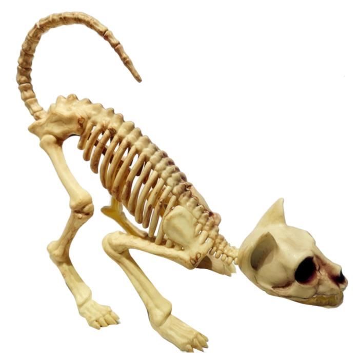 1 Pc Chat Squelette Chic Realiste Bricolage Effrayant Animaux Os Crane Figurine Modele Accroupi Statue Statuette Cdiscount Maison