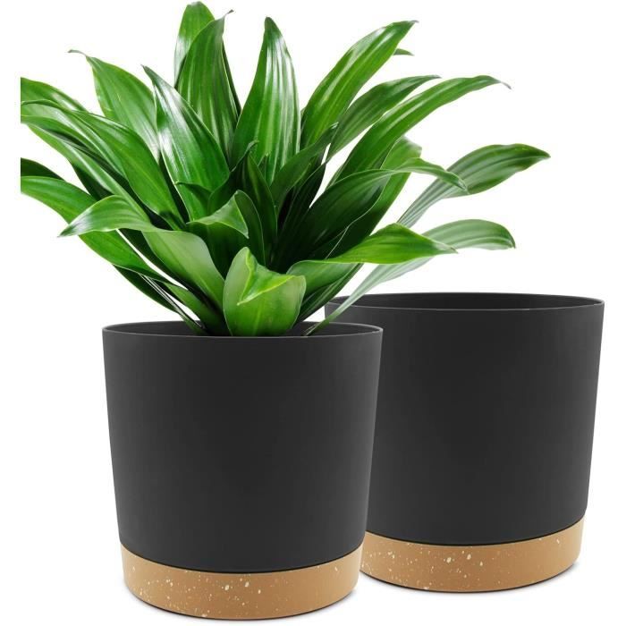 Lot de 10 Plateaux de Culture (sans Trous de Drainage) – 50,8 x 25 Lot de 10 Plateaux de Culture (sans Trous de Drainage) – 50,8 x 25