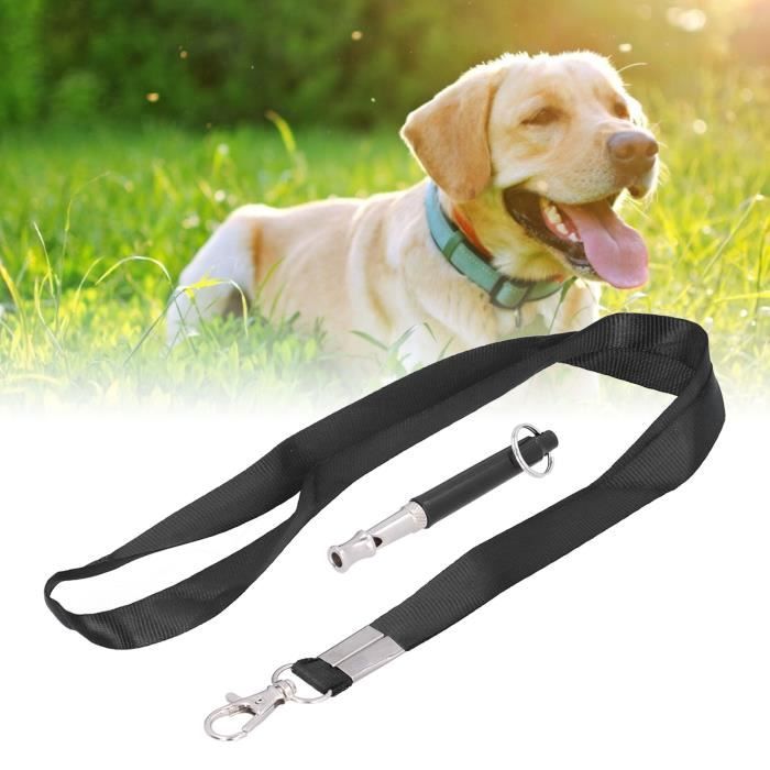Sifflet Pour Chien Ultrason Ancien Modèle Stop En Cuir – Vintage Cuir