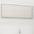 1868NEW FR® Classique Miroir de salle de bain Contemporain,Miroir mural Moderne Pour salle de bain Salon Chambre Gris béton 100x1,5x-0
