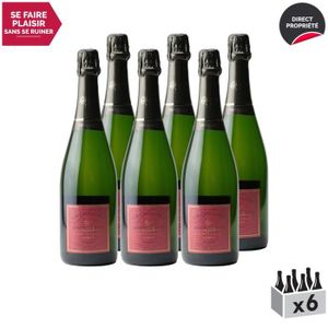 CHAMPAGNE Champagne Prestige Blanc - Lot de 6x75cl - Champag