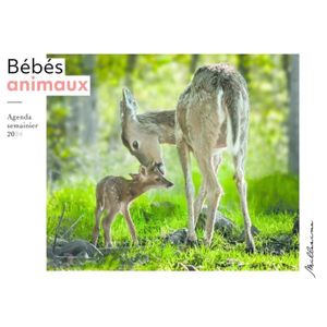 AGENDA - ORGANISEUR Millesima - Agenda semainier 2024 - Bebes animaux - Collectif 1x1