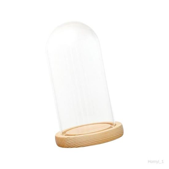 Cloche En Verre Transparent Avec Base En Bois Noir 30 X 25 Cm - Dôme De Protection Pour Décorations Ou Gâteaux