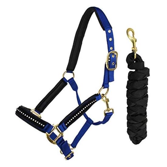 Muserolle Ajustable Tressée Avec Perles - Nylon Bleu/orange - Taille Cheval - Neuve